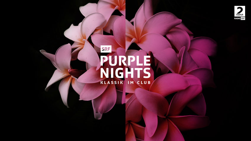 SRF: Purple Nights – Klassik im Club
